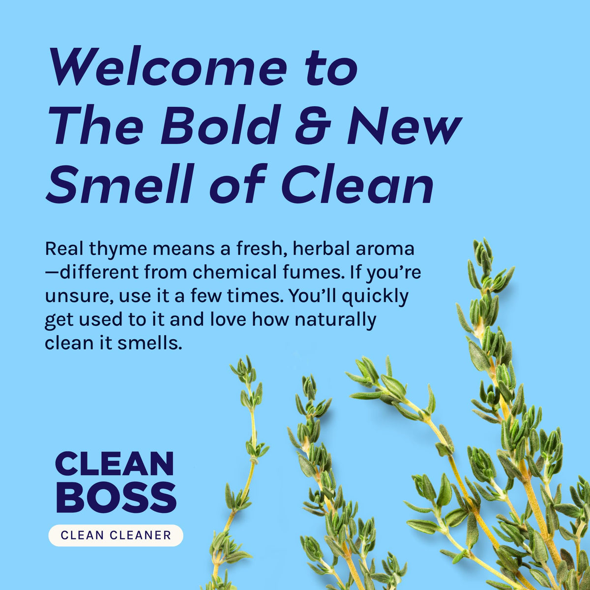 CleanBoss Multi-Surface Cleaner Botanical Disinfectant, 24 oz. (2-Pack)
