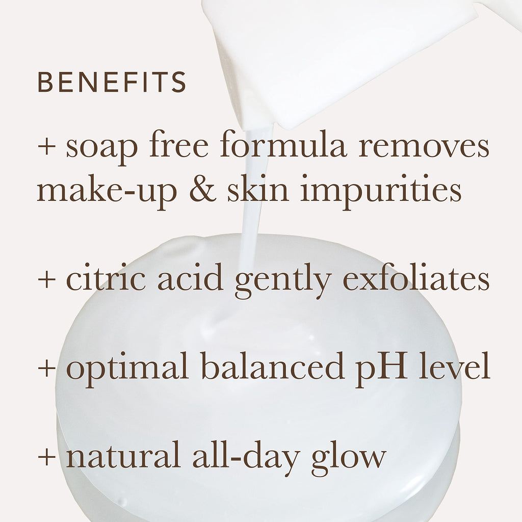 Alpha Skin Care Refreshing Face Wash, Gentle Soap-Free Formula, Citric AHA, Cleanses, Purifies, Tones & Restores pH, All Skin Types, Removes Make-Up & Oil, Anti-Aging Ingredients, 6 Oz