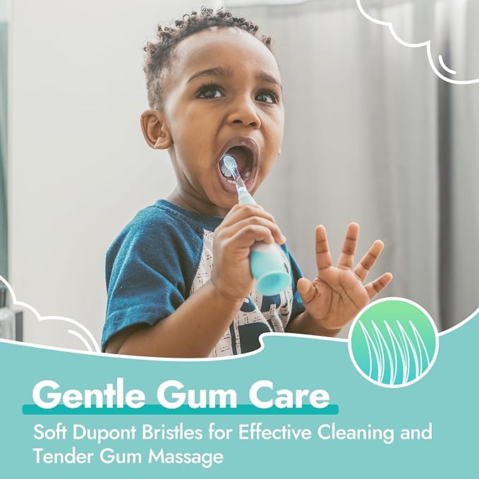 Papablic Replacement Toothbrush Heads - 2 Count, Compatible with Papablic BabyHandy & Toddler Sonic Electric Toothbrushes (18-36 Months)
