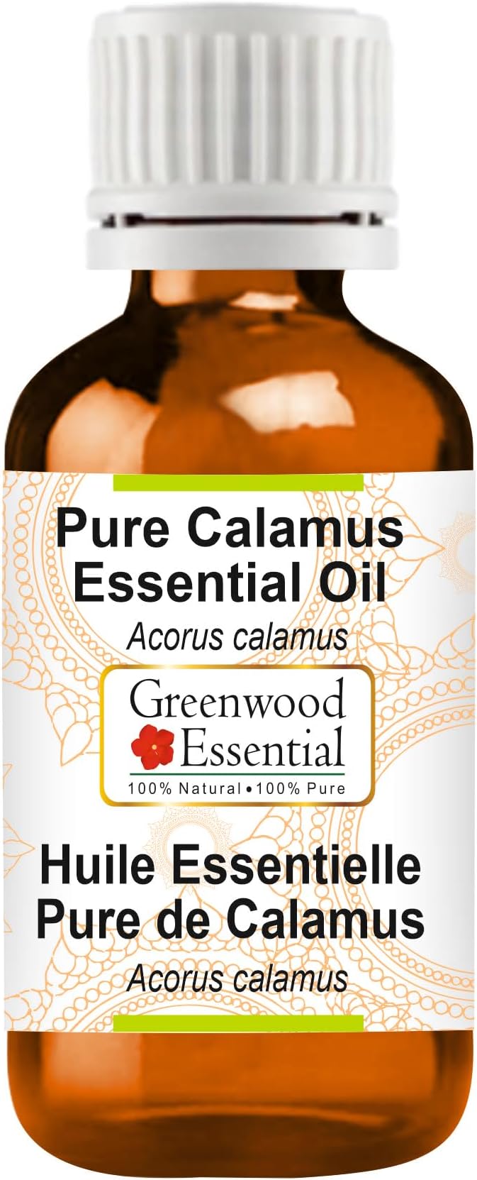 Greenwood Essential Calamus Essential Oil (Acorus Calamus) Pure | Non-Sticky | Non-Greasy | Lightweight | Men & Women | All Skin Types | Steam Distilled 100ml (3.38 oz)