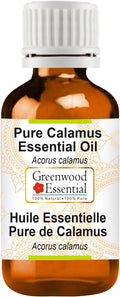 Greenwood Essential Calamus Essential Oil (Acorus Calamus) Pure | Non-Sticky | Non-Greasy | Lightweight | Men & Women | All Skin Types | Steam Distilled 100ml (3.38 oz)