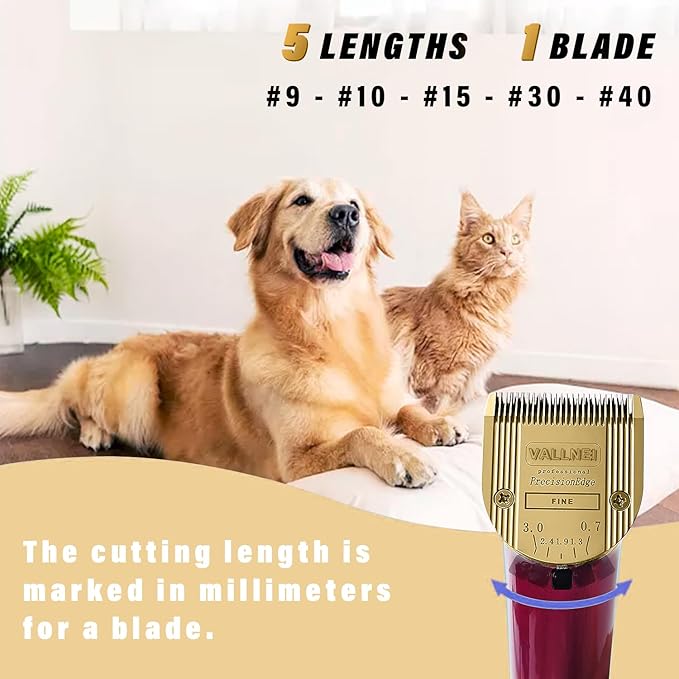 VALLNEI [2 Pack] 5-in-1 Replacement Clipper Blade, Detachable & Adjustable Dog Grooming Blade Compatible with Wahl Arco, Bravura, Chromado, Creativa, Figura, Motion & SuperGroom (Gold)