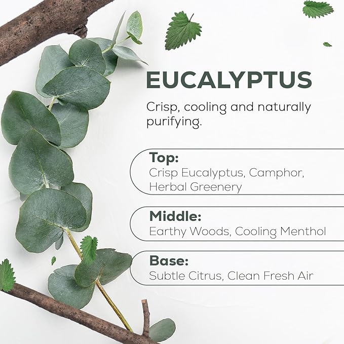 Aroma Country Pure Eucalyptus Essential Oil (4 Fl Oz)