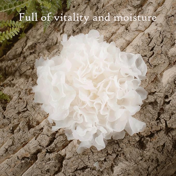 Deeponde Signature Origin 100 Ampoule 1.69 Fl oz Tremella Fuciformis(Snow Mushroom) Extract 100%,Elasticity,Lifting,Moisturizing