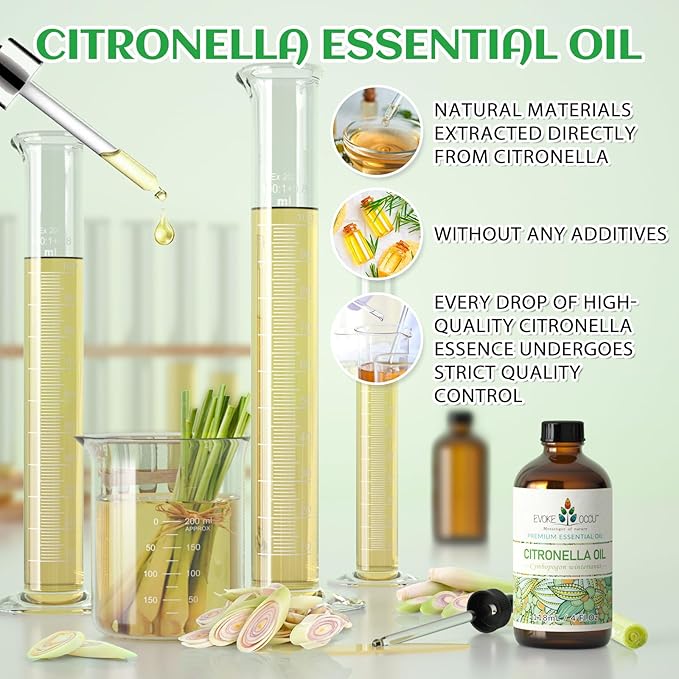 EVOKE OCCU Citronella Oil for Diffuser & Air Freshening