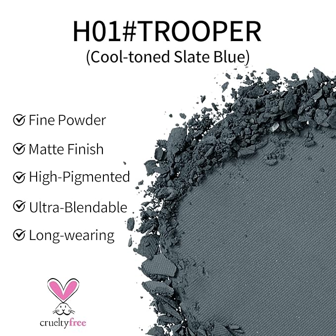 Erinde Single Matte Grey Eyeshadow Palette, Velvet Smoke Gray Eye Shadow Compact Powder Natural Makeup, Long-Lasting Eye Makeup, Ultra-Blendable, Pigmented Color, Vegan Formula, H01 Trooper
