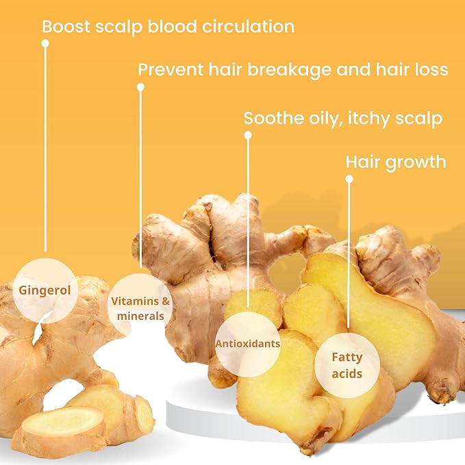 Muun Ginger Shampoo and Conditioner Bar Thickening Sulfate Silicone Free