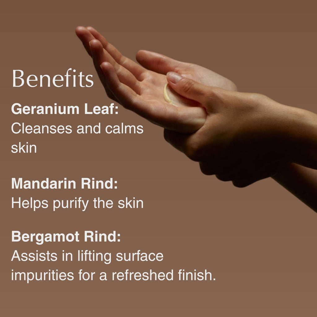 Aesop Geranium Leaf Body Cleanser & Balm Set | Citrus & Fresh Duo to Cleanse and Hydrate Skin | Geranium Leaf, Mandarin Rind, Bergamot Rind | 16.9 oz / 500mL (Set of 2)