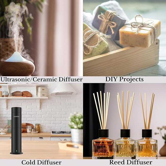 Scentia Dream Walk Hotel Scent Diffuser Oil – Luxury Fragrance Inspired by 5-Star Spa Resort – 50 mL – White Tea, Cedarwood & Amber Essential Oil Blend for Home, Office & Aromatherapy Diffusers