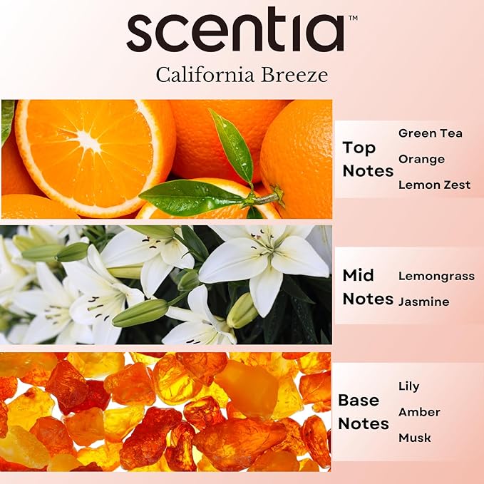 Scentia California Breeze Aromatherapy Oil for Diffuser – Hotel Scent Inspired by Delano Beach Club – 20 mL – Orange, Green Tea & Jasmine Natural Fragrance Oil for Waterless & Cold Air Diffusers