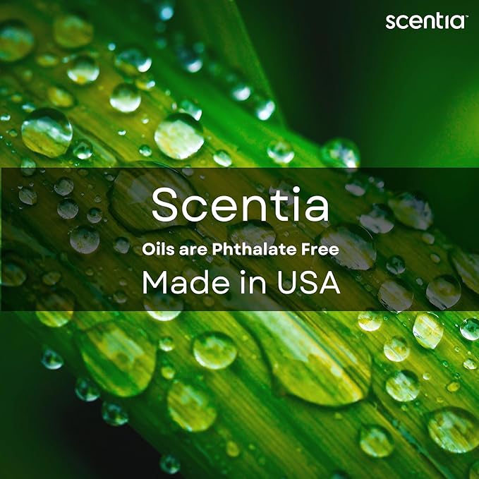 Scentia Hotel Diffuser Oil Inspired by The Delano Beach Club Hotel Scent - 500 mL 16.9 fl oz - Essential Oil Blend Orange, Green Tea for Aromatherapy Diffusers - California Breeze, Thanksgiving Gift
