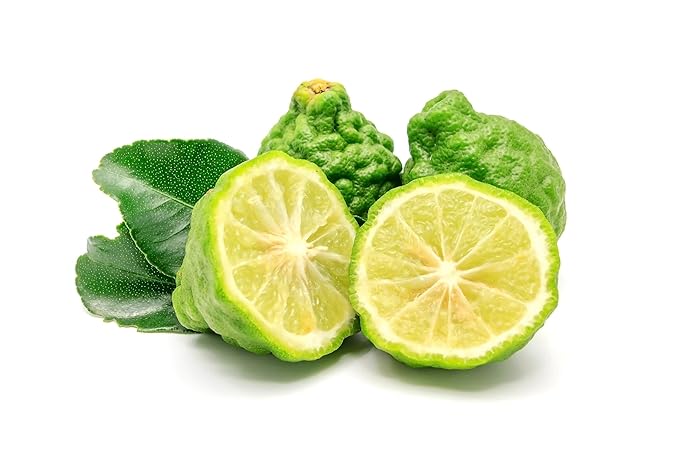 US Organic 100% Pure Bergamot Essential Oil, USDA Certified Organic, Cold Pressed, with Euro droppers (More Size Variations Available) (15 ml /.5 fl oz)