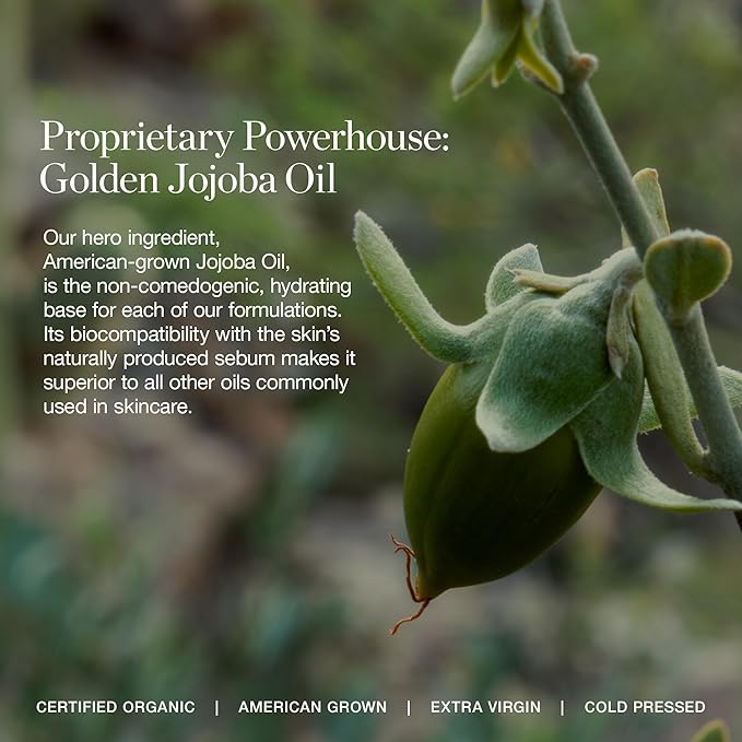 Ogee Complexion Perfecting Under Eye Concealer, MYRTLE 6.75W
