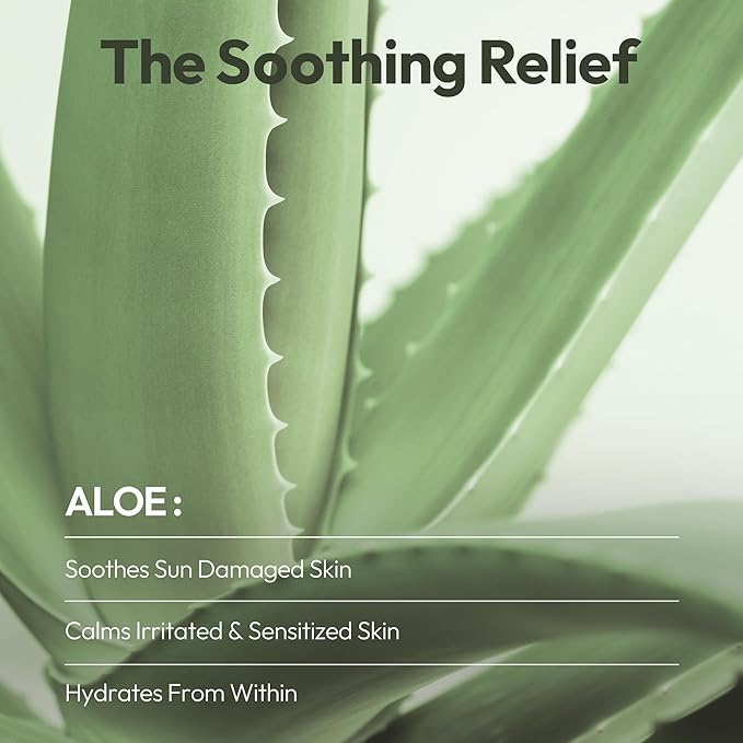 LAPCOS K Beauty Aloe Sheet - Soothing & Hydrating Face Mask (Pack of 10)