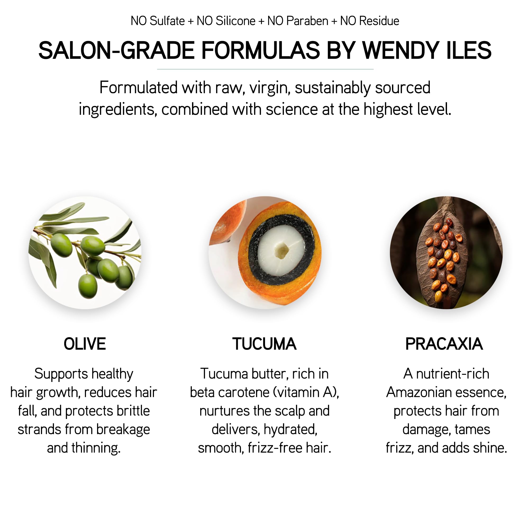 Iles Formula Signature Collection: Shampoo, Conditioner & Finishing Serum