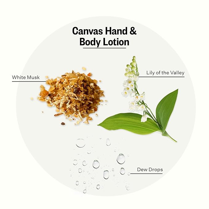 APOTHEKE Hand & Body Lotion & Moisturizer - Canvas, 10 Fl Oz