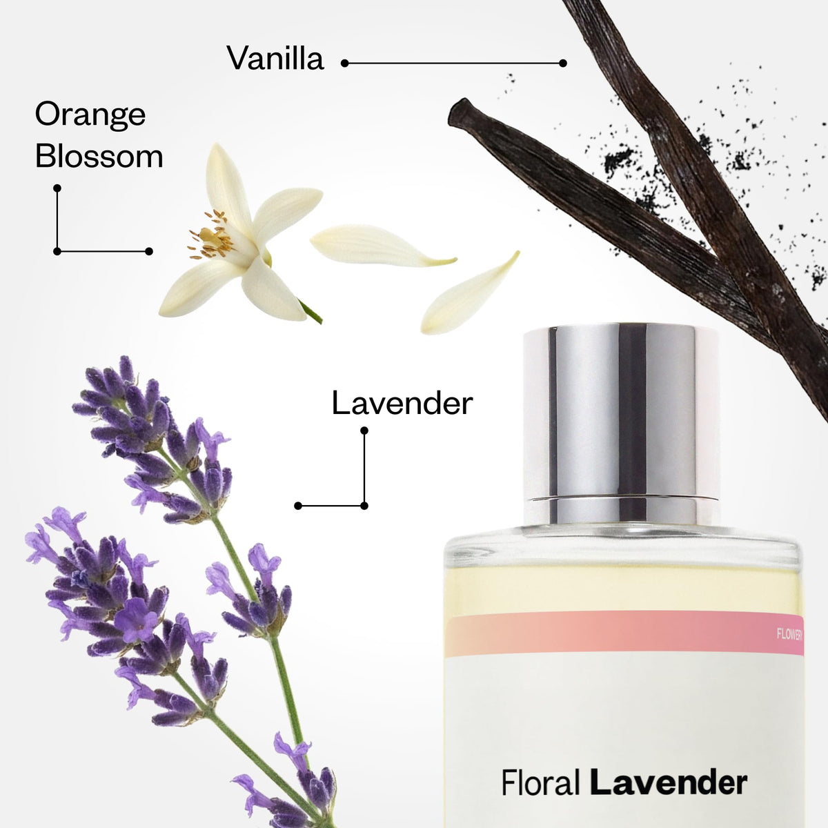 Dossier - Floral Lavender - Inspired by Libre - Women EDP