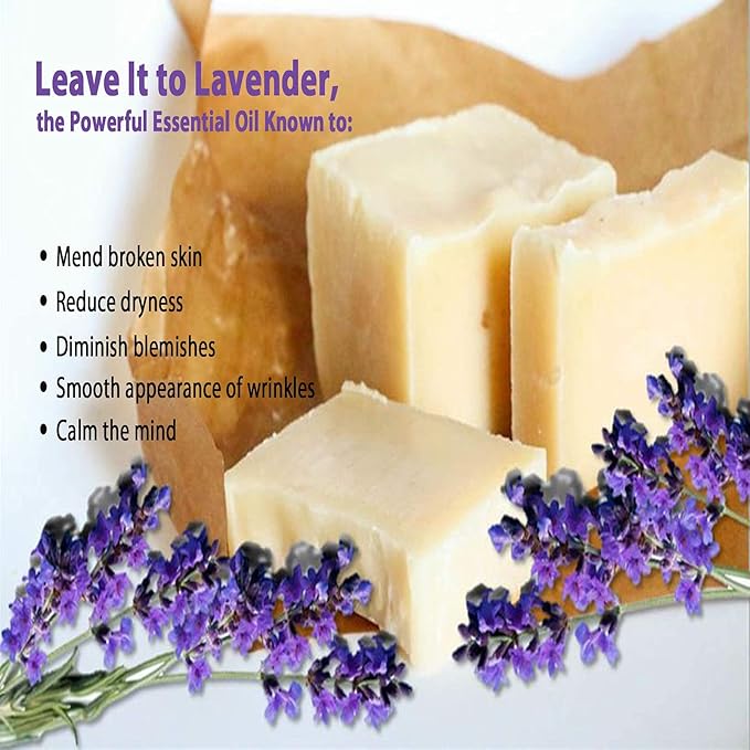 Vintage Tradition Lavender Grass-Fed Tallow Balm | All-Purpose 2 oz