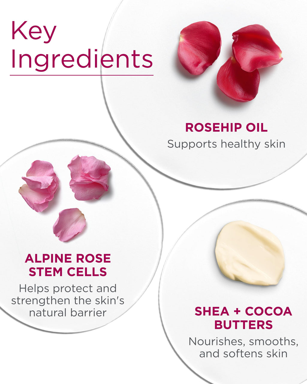 Andalou Naturals 1000 Roses Velvet Soft Body Butter (8 fl oz)