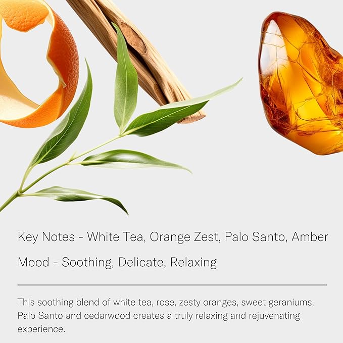 AromaTech White Tea Aroma Essential Oil Blend: Luxury Hotel Inspired Aromatherapy with White Tea, Orange & Palo Santo for Ultrasonic Diffusers & Nebulizers (120 mL)