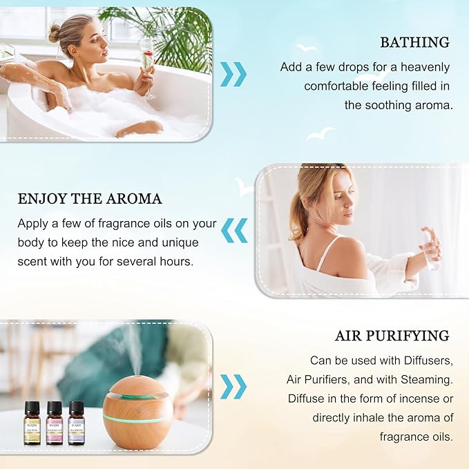 EUQEE Summer Holiday Island Fragrance Oil Gift Set of 6 for Humidifier