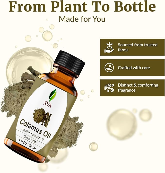 SVA Calamus Essential Oil 1 Fl Oz – for Diffuser, Skin & Hair Care – Ideal for Massage & DIY Blends - with Dropper