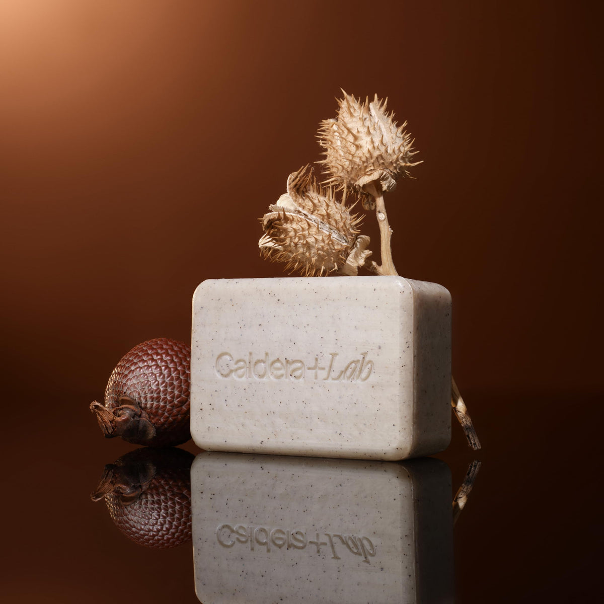 Caldera + Lab The Body Bar | Men's Exfoliating Soap, Organic, 7 Oz