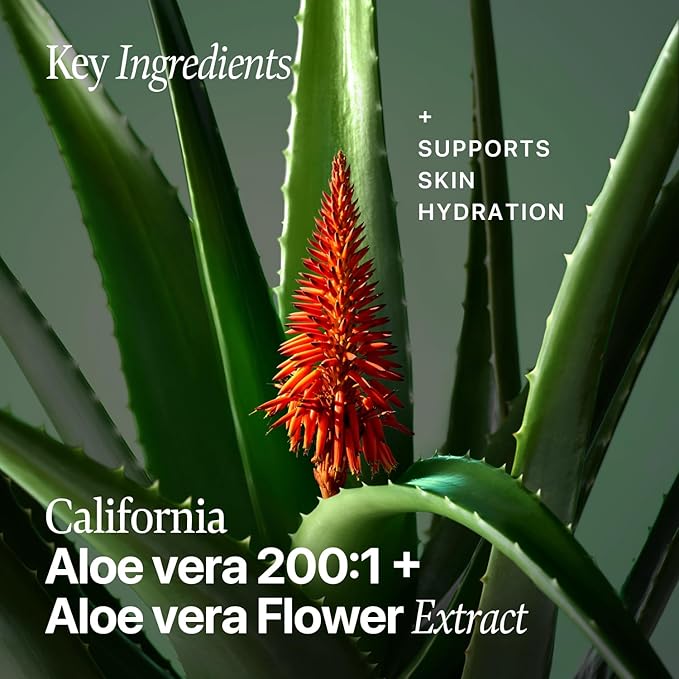 Nature Republic Real Squeeze Aloe Vera Essence | Hydrating Moisturizer & Glow for Face Fast-Absorbing, Non-Sticky After Sun & Aftershave Korean beauty Care for all Skin types Vegan 50ml / 1.69 Fl Oz
