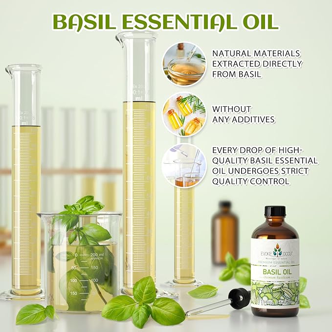 EVOKE OCCU Basil Essential Oil for Diffuser, DIY & Herbal