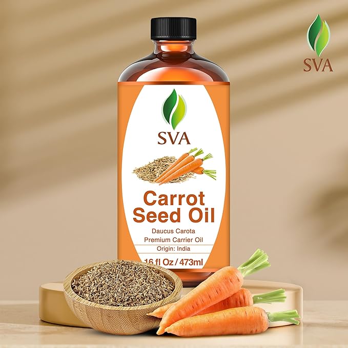 SVA Carrot Seed Carrier Oil, Huge Bottle, Large Size, 16 Fl Oz (473 ml)