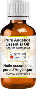 Greenwood Essential Pure Angelica Essential Oil (Angelica archangelica) Steam Distilled 50ml (1.69 oz)