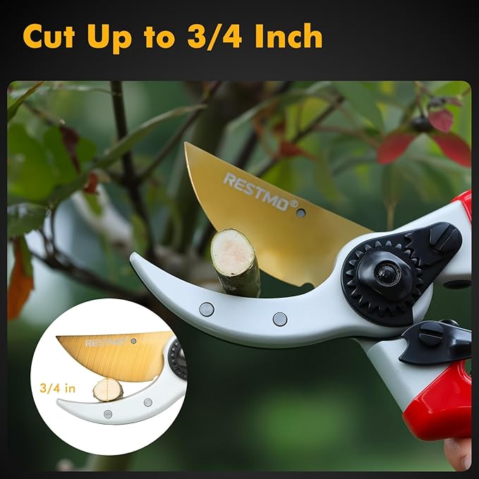 RESTMO Pruning Shears, 8.6 Inch, Titanium Blade, Bypass, Red