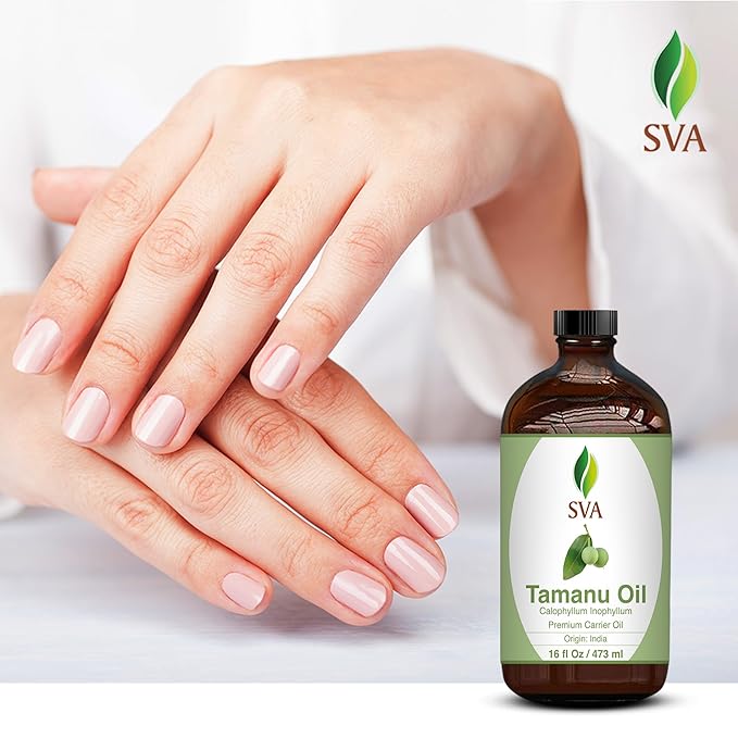 SVA Tamanu Carrier Oil, Huge Glass Bottle, Large Size, 16 Fl Oz (473 ml)