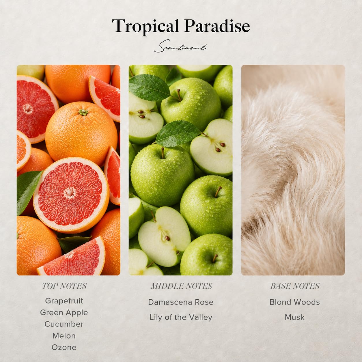 Scentiment Tropical Paradise Diffuser Oil - 4.06 fl oz Refill