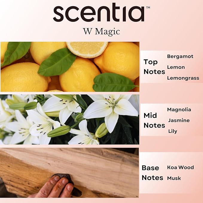 Scentia W Bliss (W Magic) Aromatherapy Oil for Diffuser – Hotel Scent Inspired by W Hotel – 20 mL – Bergamot, Lemongrass & Jasmine Natural Fragrance Oil for Waterless & Cold Air Diffusers, Made in USA