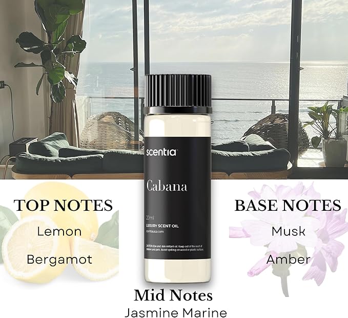 Scentia Hotel Diffuser Oil Gift Set, 3x20ml - Miami One, Coastal & W Bliss Fragrance Oils Inspired by 1 Hotel Miami & W Hotel - Made in USA, IFRA Certified - Aromatherapy Discovery Set