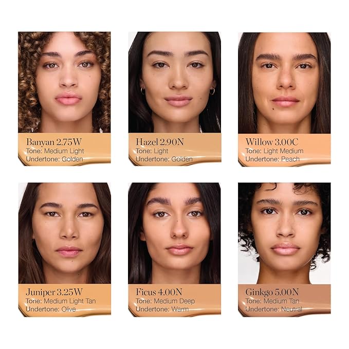 Ogee Complexion Perfecting Under Eye Concealer, WILLOW 3.00C