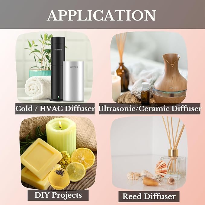 Scentia Dream Walk Aromatherapy Oil for Diffuser – Hotel Scent Inspired by 5-Star Spa Resort – 20 mL – White Tea, Cedarwood & Amber Natural Fragrance Oil for Waterless & Cold Air Diffusers