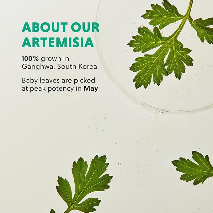 HANYUL Artemisia Soothing Toner Pads with Centella Asiatica & Hyaluronic Acid | Hydrating & Soothing Pre-Makeup Korean Toner Pads to Calm Visible Redness | for All Skin Types | 60 Pads