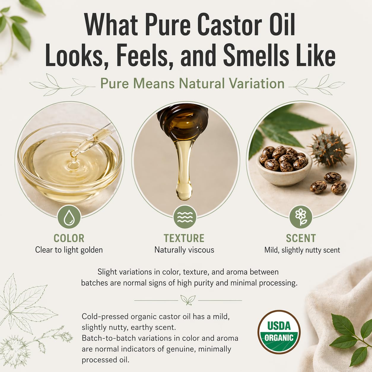 J MAC BOTANICALS Organic Castor Oil Cold Pressed in Amber BPA Free Plastic Bottle (32 oz) USDA Certified, Hexane Free - Moisturizing Oil for Hair, Skin, Face, Eyelashes, Brows, Nails, and Castor Wraps