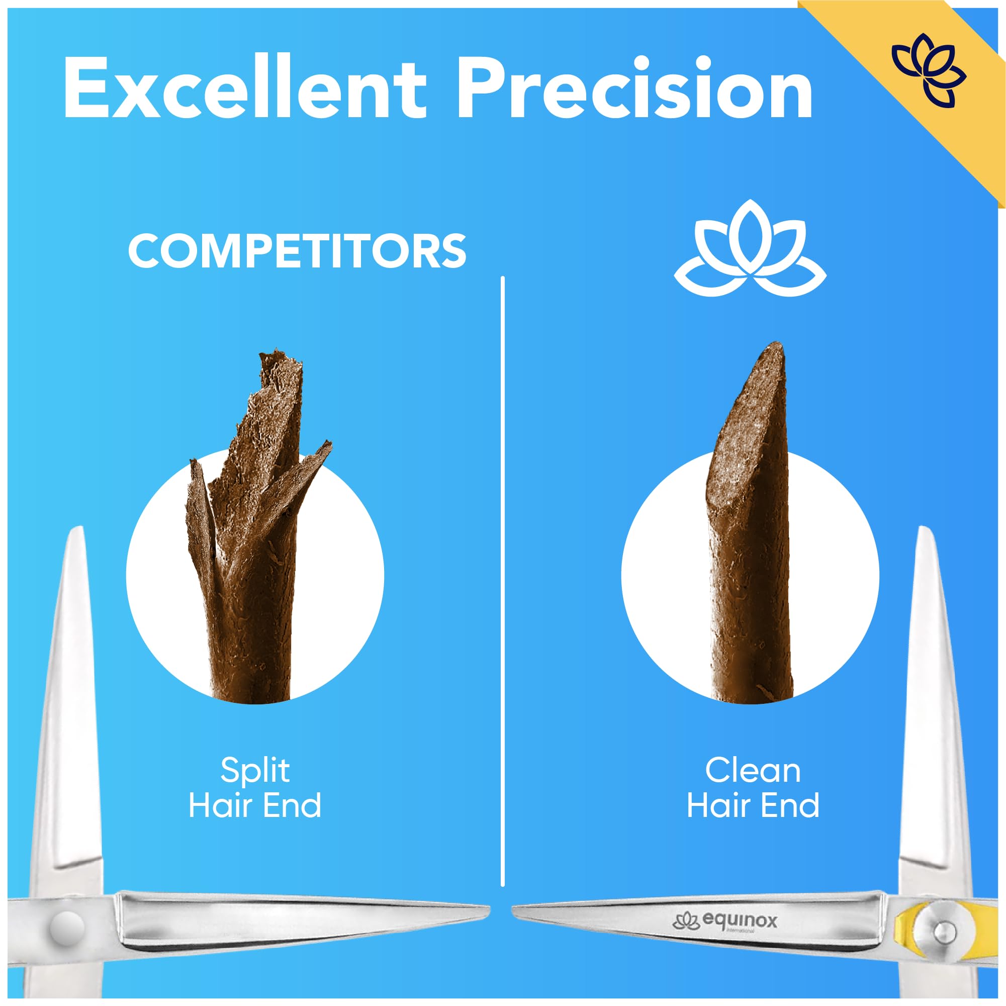 Equinox Razor Edge Series Professional Hair Scissors - 6.5” Premium Japanese Stainless Steel Hair Cutting Scissors, Hair Shears, Hair Razors for Hair Cutting, Barber Accessories & Hair Salon Supplies