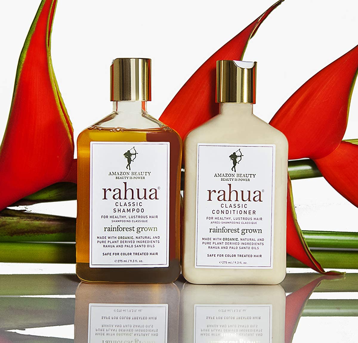 Rahua Classic Conditioner 9.3 Fl Oz, Made With Organic Ingredients for Healthy Scalp and Hair, Safe for Color Treated Hair, Shampoo with Palo Santo Aroma, Best for All Hair Types