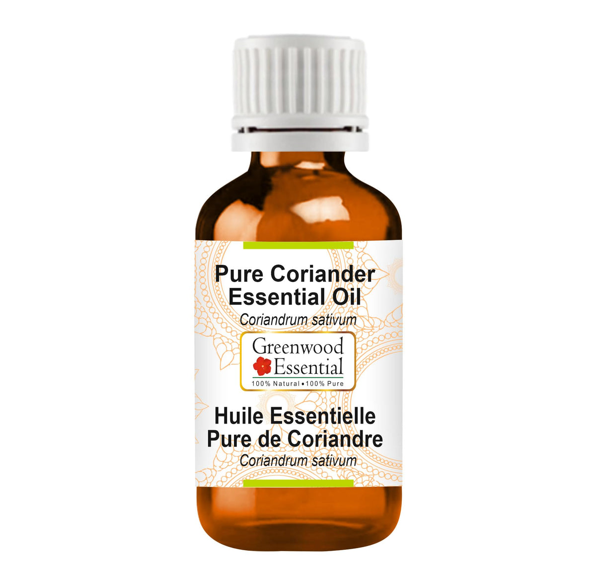 Greenwood Essential Pure Coriander Essential Oil (Coriandrum sativum) 50ml (1.69 oz)
