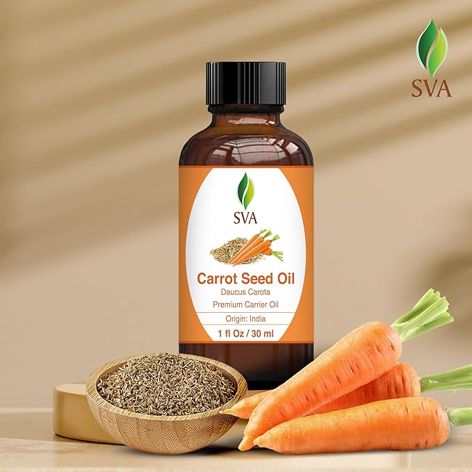 SVA Carrot Seed Oil - 1 Fl Oz - for Face, Skin Care, Hair Care, Scalp Massage & Body Massage – Carrier Oil with Dropper