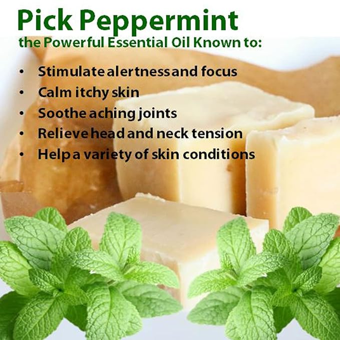Vintage Tradition Peppermint Grass-Fed Tallow Balm | All-Purpose 2 oz