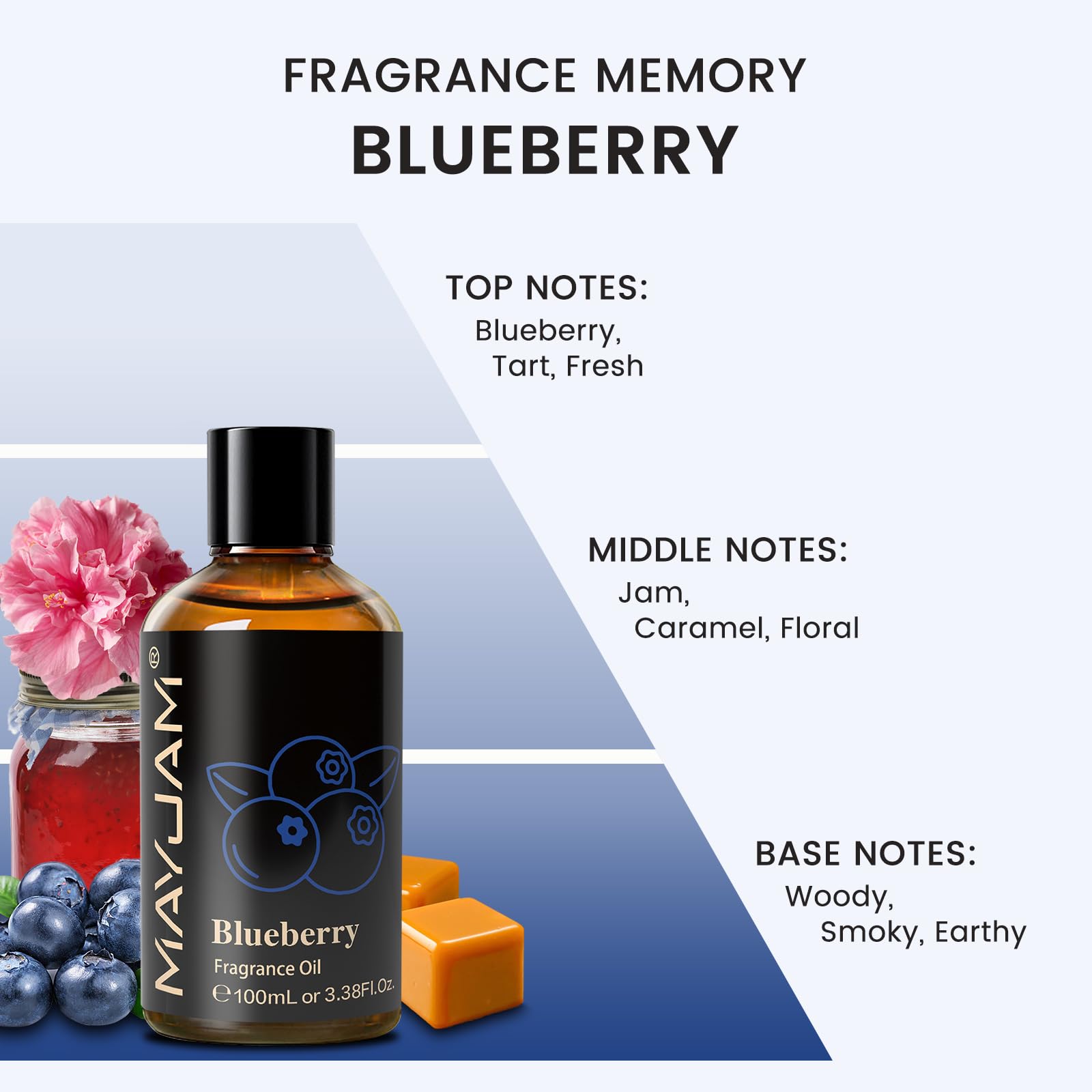 MAYJAM Blueberry Fragrance Oil for Diffusers for Home, 100ML/3.38FL.OZ