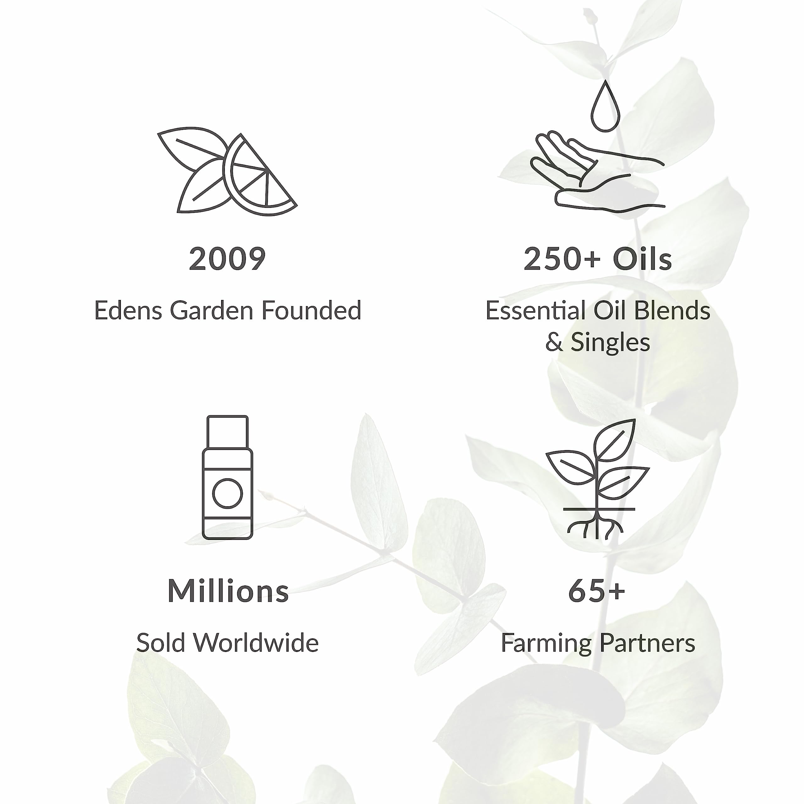 Edens Garden Helichrysum- Italicum Essential Oil- 100% Pure Premium Grade, Undiluted, Natural, Therapeutic, Aromatherapy, The Best for Diffuser, Skin, Face, Hair 10 ml (.33 fl oz)