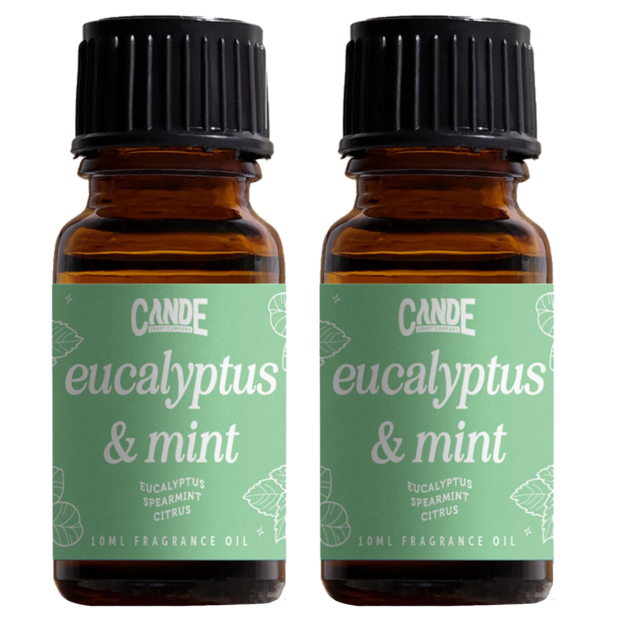 CANDECraftCo Premium Fragrance Oil – Diffuser Oils Fragrances Scented for Home, Candle Soap Making Supplies, Aromatherapy Blends for House (0.34 Fl Oz) (2-Pack, Eucalpytus & Mint)