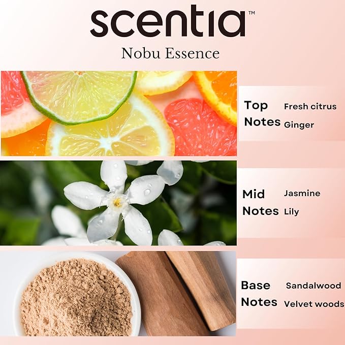 Scentia Nobu Essence Aromatherapy Oil for Diffuser – Hotel Scent Inspired by Nobu Hotel – 20 mL – Jasmine, Lily & Sandalwood Natural Fragrance Oil for Waterless & Cold Air Diffusers, Made in USA