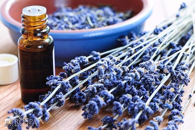 EuroSpa Aromatics Pure Eucalyptus Oil ShowerMist and Steam Room Spray, All-Natural Premium Aromatherapy Essential Oils - Lavender Infused, 8oz